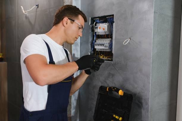 Best Outdoor Lighting Installation  in Greilickville, MI